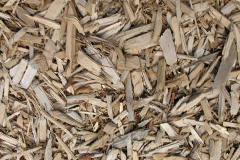 biomass boilers Barbieston